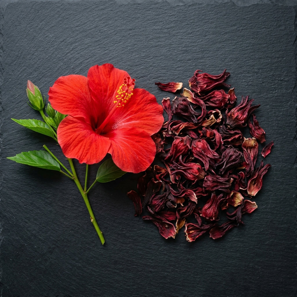 Hibiscus
